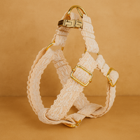 legantes Leaf Lace Pet Collar mit Schleife & Metallverschluss - Nest & Nuzzle