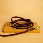 Multifunktionale Hundeleine mit Doppel-Kupferhaken – 2,5 m lang & extra robust