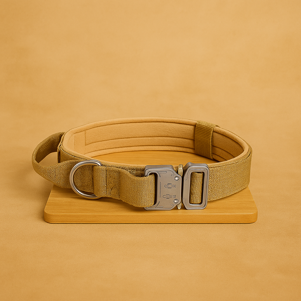 Tactical Nylon Dog Collar für große Hunde – robust, verstellbar & outdoor-tauglich