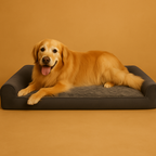 Cozy Four-Season Haustierbett