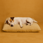 Removable & Washable Pet Mat – Für Hunde & Katzen