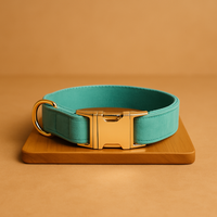 Samt-Hundehalsband in Seegrün mit Goldschnalle – edel, bequem & personalisierbar - Nest & Nuzzle